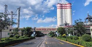 NPK Fertilizer